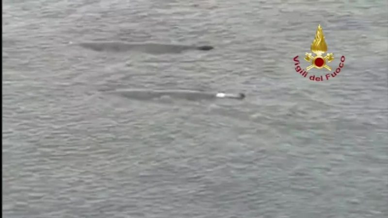 Due enormi balene attraversano lo Stretto di Sicilia