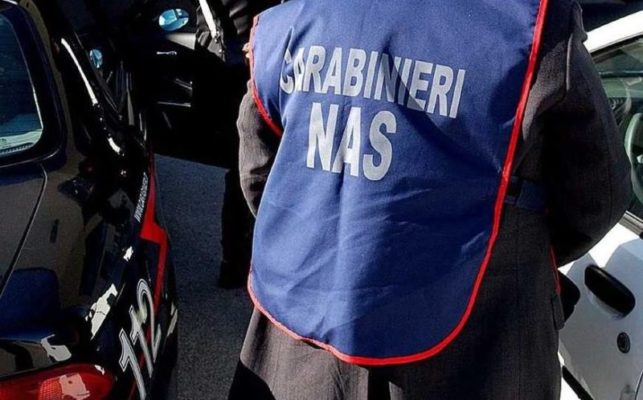 Controlli dei Nas nel settore socio-assistenziale: denunciate 4 persone, segnalate 9 strutture Controlli dei Nas nel settore socio-assistenziale: denunciate 4 persone, segnalate 9 strutture