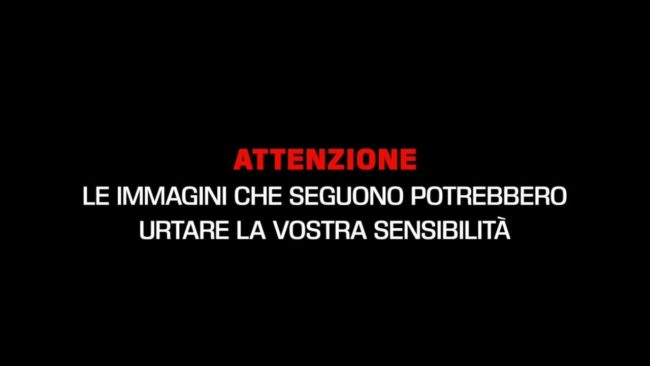 +++Video shock, decine di cadaveri ovunque, a terra dentro sacchi neri+++