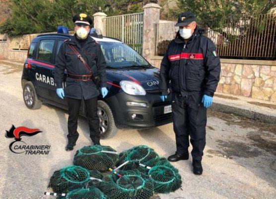 Nascondevano in auto oltre 300 ricci appena pescati: sanzione da 4mila euro per due uomini
