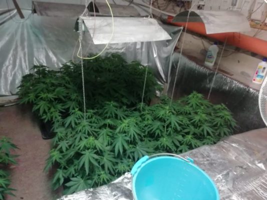 Coltivazione di marijuana “indoor” dentro cunicolo allo Zen: indagini in corso