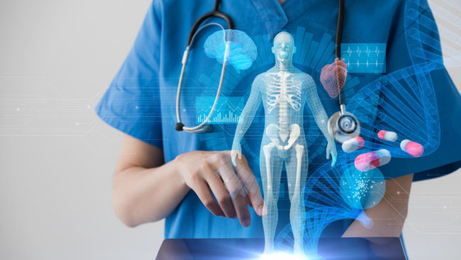 Ricercatori Università di Catania creano “paziente virtuale”: il software che evita le sperimentazioni sugli animali
