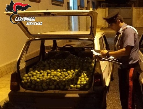 Alla guida di un’auto rubata con un quintale di arance: arrestato 33enne