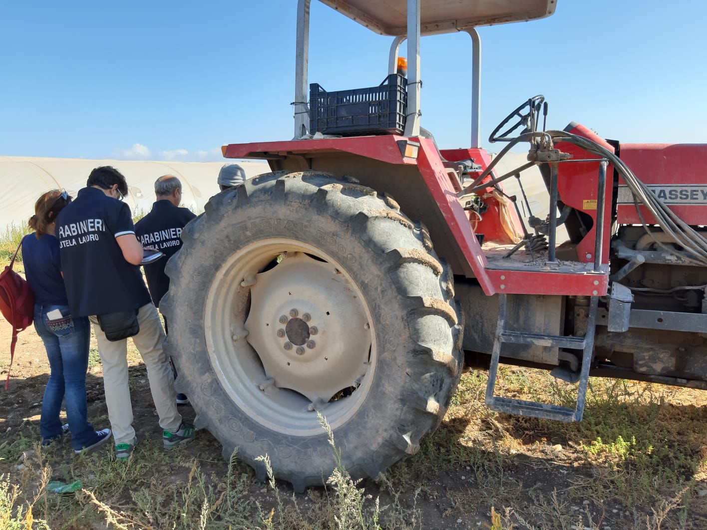 Locali non sanificati e mancanza di standard di sicurezza: denunciato amministratore di azienda agricola