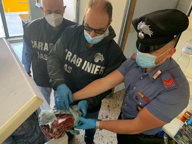 Oltre 50 kg di carne in pessimo stato destinati alla vendita: sequestrata macelleria a una donna
