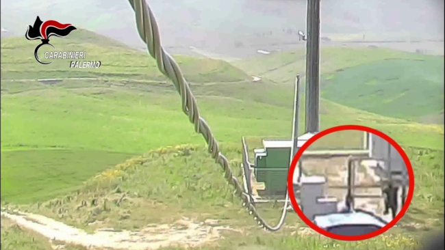 Maxi operazione dei carabinieri, oltre un anno di indagini: 15 arresti, dai furti agli atti sessuali con minore – VIDEO