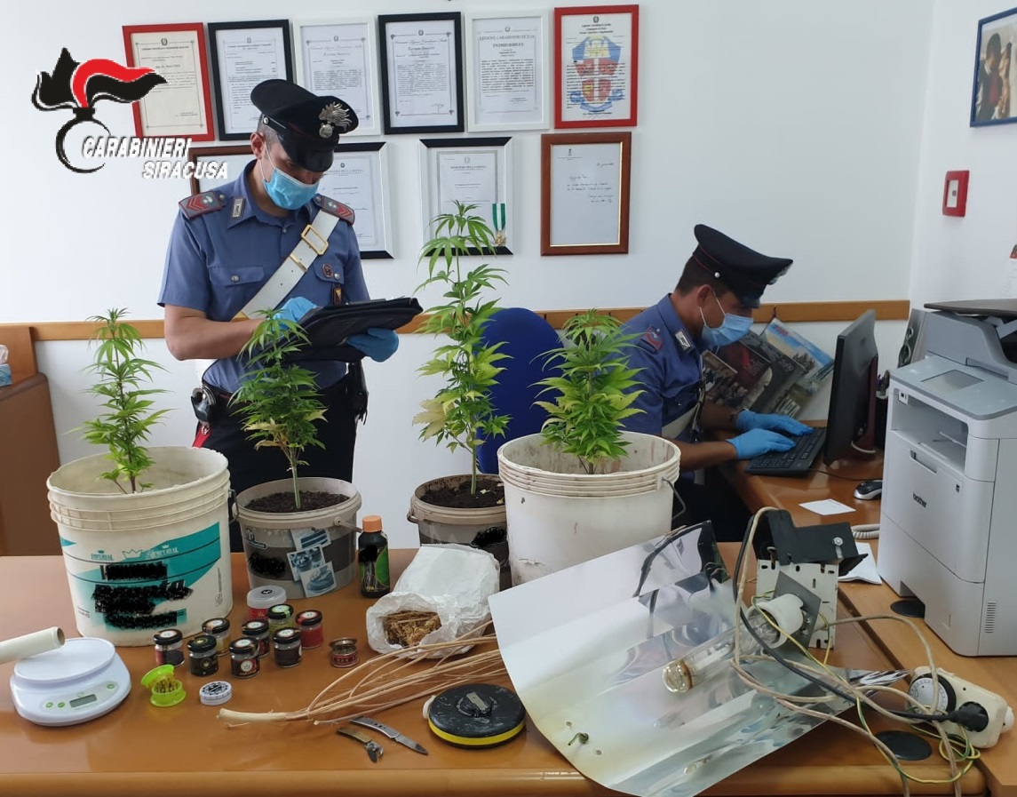 Mini serra nella mansarda di casa, cannabis e materiale per lo spaccio: denunciato un pregiudicato
