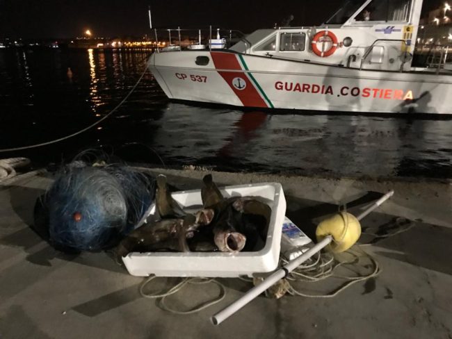 Ritrovato palangaro con 230 ami nel Plemmirio: sequestrati 10 “lupi ì scogghiu”