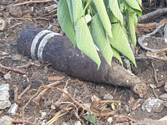 Bombe dell’artiglieria tedesca in un palmento del Catanese: rimosse dai carabinieri – FOTO