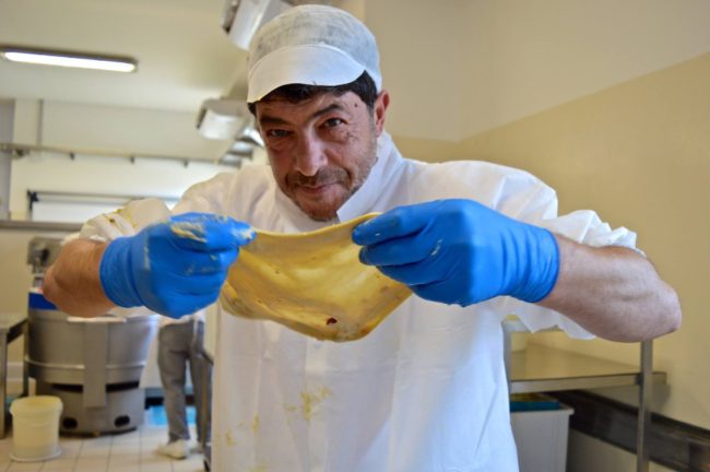 Nominati i nuovi 25 Cavalieri del Lavoro: spicca tra loro il pasticcere siciliano Nicola Fiasconaro
