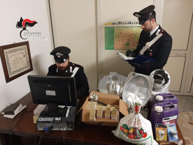 Blitz dei carabinieri, serra di marijuana sotto una botola: smantellata “industria della droga”