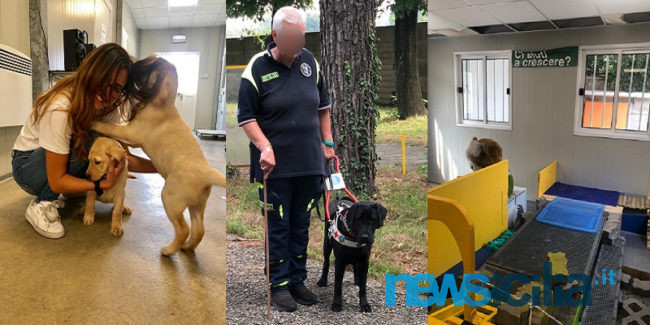 Cani Guida Lions, il progetto gratuito al servizio dei non vedenti: “Due occhi per chi non vede”