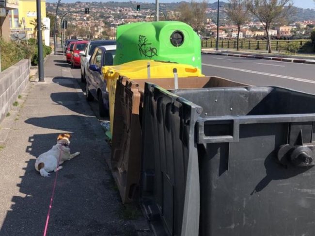 Catania, si estende la raccolta dei rifiuti porta a porta: pronta rimozione dei cassonetti in Circonvallazione