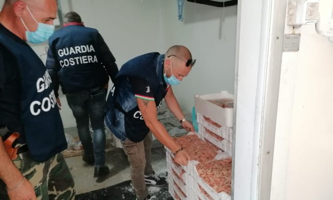 Ricciola, gamberi e sauri, maxi provvedimento della Capitaneria di Porto: 140 chili di pesce sequestrato
