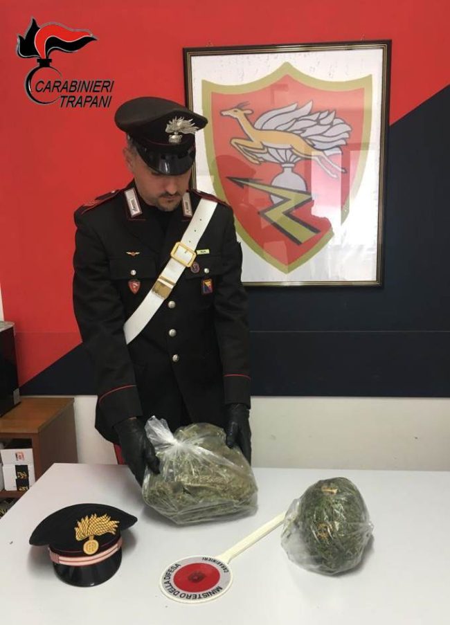 Due serre in casa per coltivare marijuana allacciate abusivamente alla rete elettrica: 32enne ai domiciliari