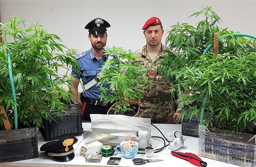 Serra di marijuana in una casa del Catanese, in manette 56enne: denunciata la convivente