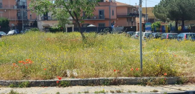 San Giovanni Galermo, i cittadini protestano per la mancanza manutenzione del verde. La richiesta di Zingale e Spina