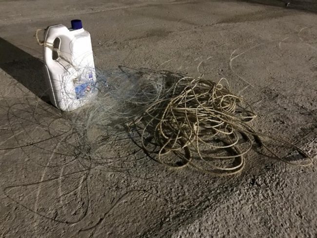 Pesca sportiva in area protetta con attrezzatura vietata. Nei guai un uomo: beccato dalla Guardia Costiera