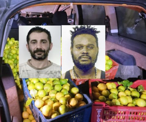 Rompono la recinzione e rubano oltre 300 chili di limoni nel Catanese: arrestati due ladri
