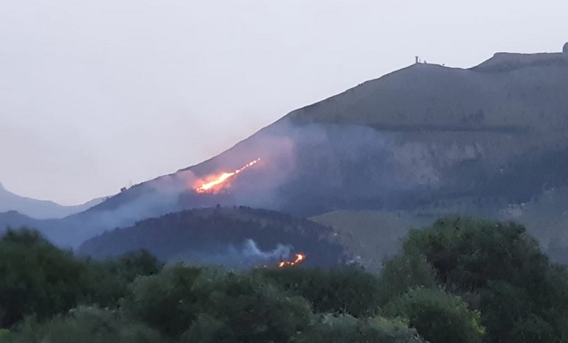 Allarme incendi, appello del Wwf Sicilia alla Regione: “Pugno duro contro i piromani”