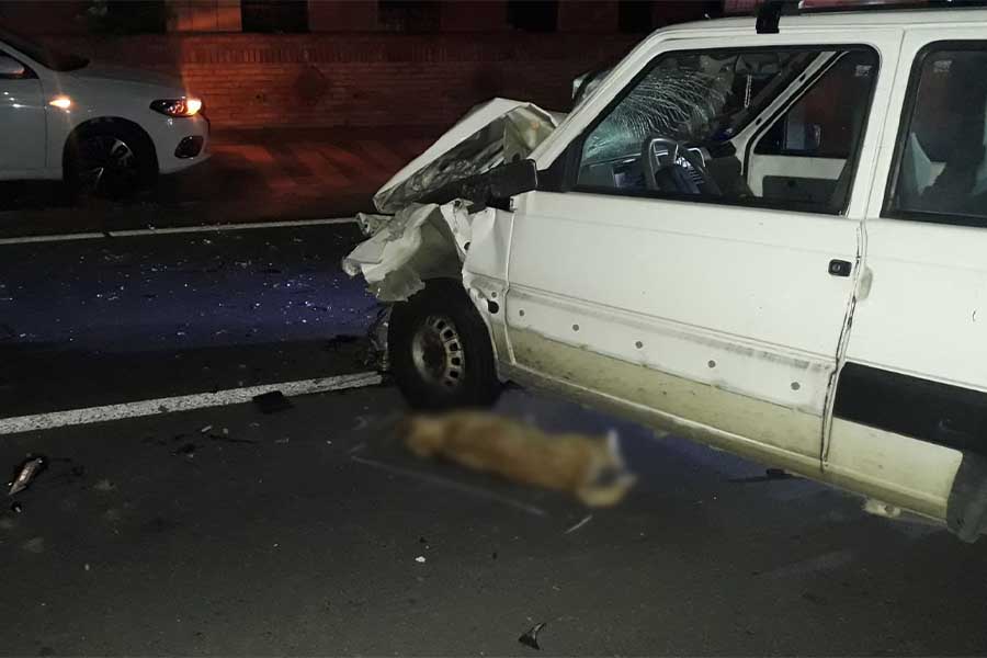 Impatto semifrontale nel Catanese, cane invade la carreggiata: scontro tra due auto con feriti