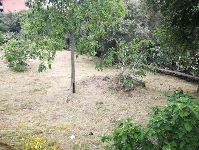 Catania, lavori di manutenzione nel parco degli Ulivi. Buceti (IV Municipio): “Rispondiamo alle richieste dei cittadini”