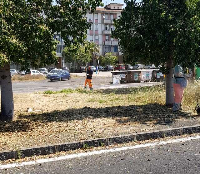 Potatura del verde in via Don Minzoni e dintorni, consigliere Zingale chiede piano per scongiurare incendi