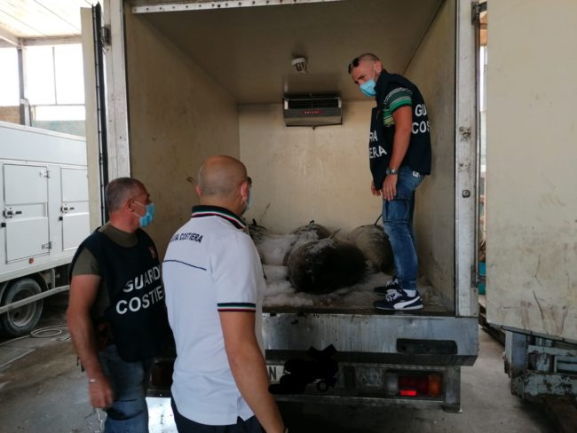 Controlli a Portopalo, sequestrato più di 700 chili di tonno rosso e 45 chili di gambero non idoneo al consumo