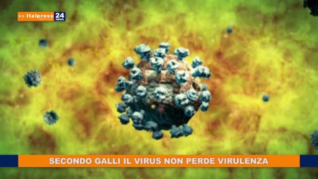 Tg News ore 13 – 15/5/2020