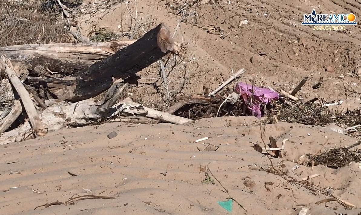 Pulizia della spiaggia distrugge dune di sabbia, nidi di tartaruga e piante. “Lavori abusivi e danno incalcolabile!” – VIDEO