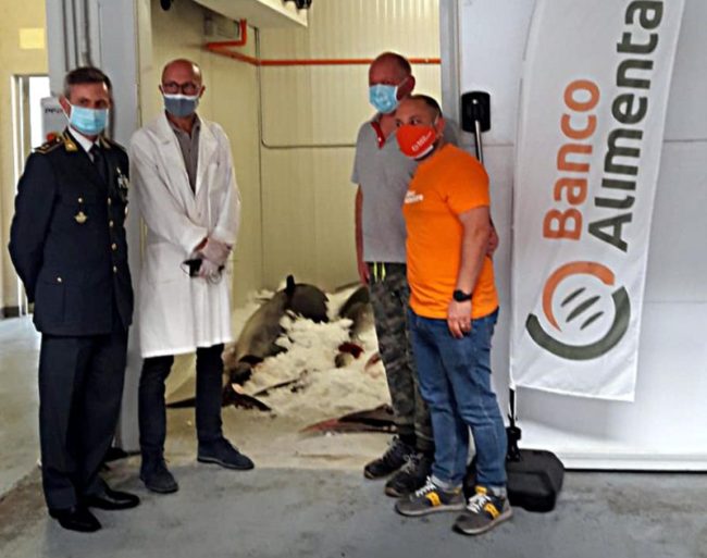 Sequestrati 13 tonni rossi al porticciolo di Ognina, nei guai due soggetti già noti: pescato privo di tracciabilità
