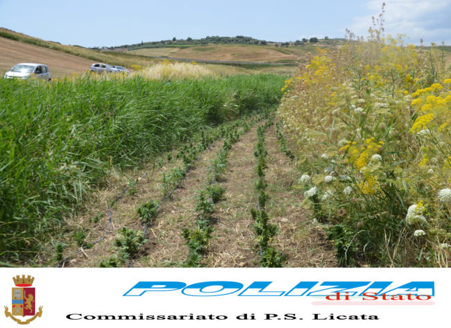 Succede ad Agrigento e provincia: 10 giugno MATTINA