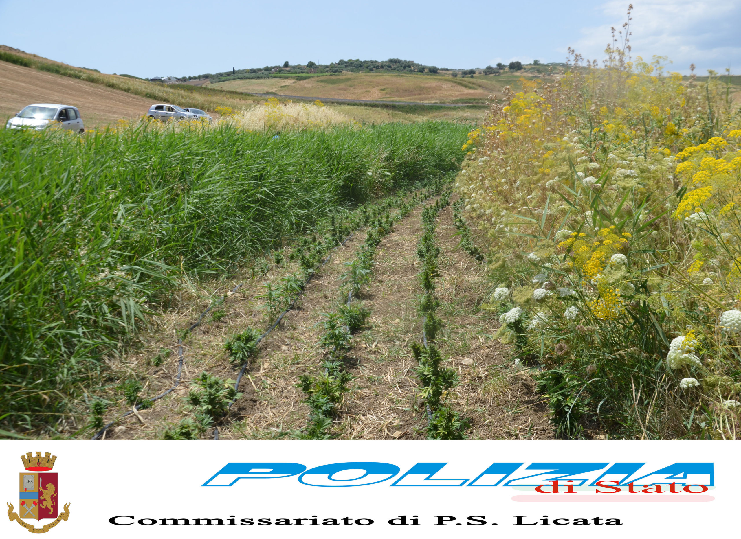 Succede ad Agrigento e provincia: 10 giugno MATTINA