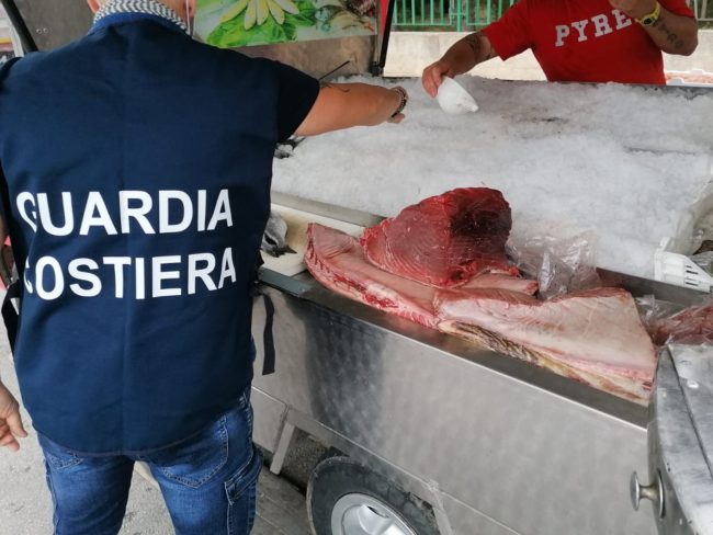 Tonno rosso privo di tracciabilità in vendita: sequestrato e donato in beneficienza