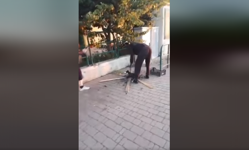 Uccide un gatto e lo cucina in strada: il video choc spopola su Facebook
