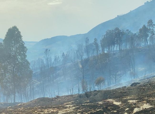 Dai “piedi” alla vetta della montagna. Incendio brucia 500 ettari di macchia mediterranea: “Gesto vile, danno inestimabile”