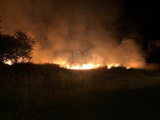 Lieve diminuzione incendi in estate: un buon motivo per programmare bene la prossima stagione calda