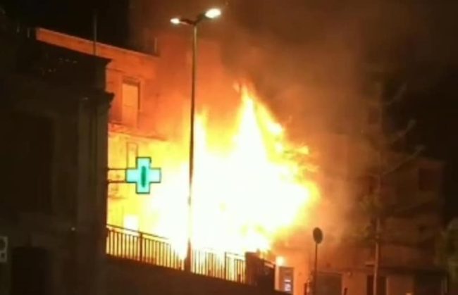 Paura in centro, palme date alle fiamme. Sindaco Brandara: “Vergogna! Poteva essere una tragedia”