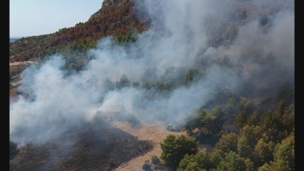 Incendio boschivo, macchia mediterranea devastata dalle fiamme: Canadair in azione