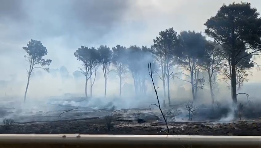 Incendi, rifiuti e crimini contro la natura: triste primato per la Sicilia