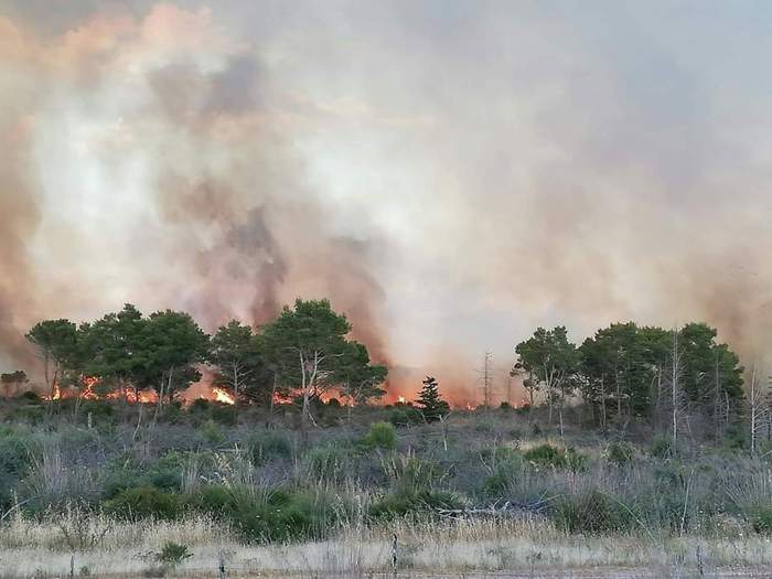 Fiamme alte nell’Agrigentino, in fumo diversi ettari di macchia mediterranea: intervento dei vigili del fuoco