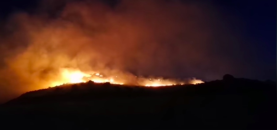 Torre Salsa avvolta dalle alte lingue di fuoco, la denuncia di Mareamico: “Vegetazione inghiottita dalle fiamme”
