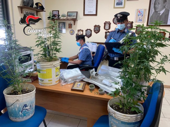 Piantagione di canapa in casa e marijuana, arrestato 50enne per spaccio