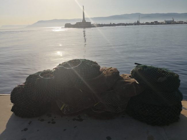 Una notte di attesa per beccare i pescatori di ricci. Sequestrati 6mila esemplari: 2mila euro ai trasgressori