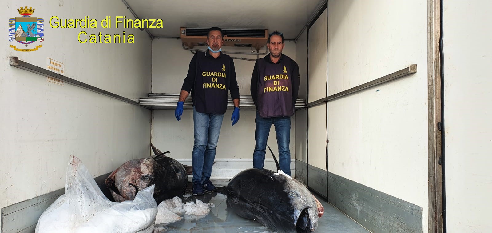 Furgone bloccato nei pressi del Faro Biscari di Catania: due soggetti trasportavano 420 chili di tonno rosso
