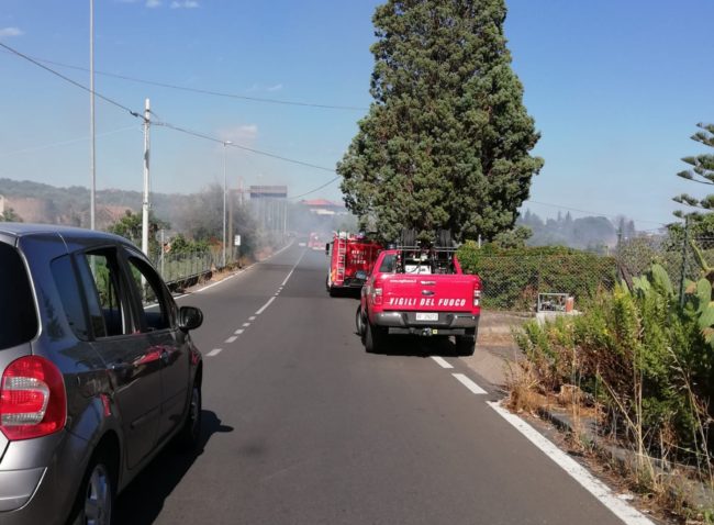 In fiamme zona rurale di Catania: vigili del fuoco in azione