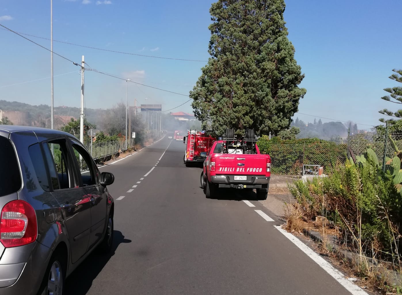 In fiamme zona rurale di Catania: vigili del fuoco in azione