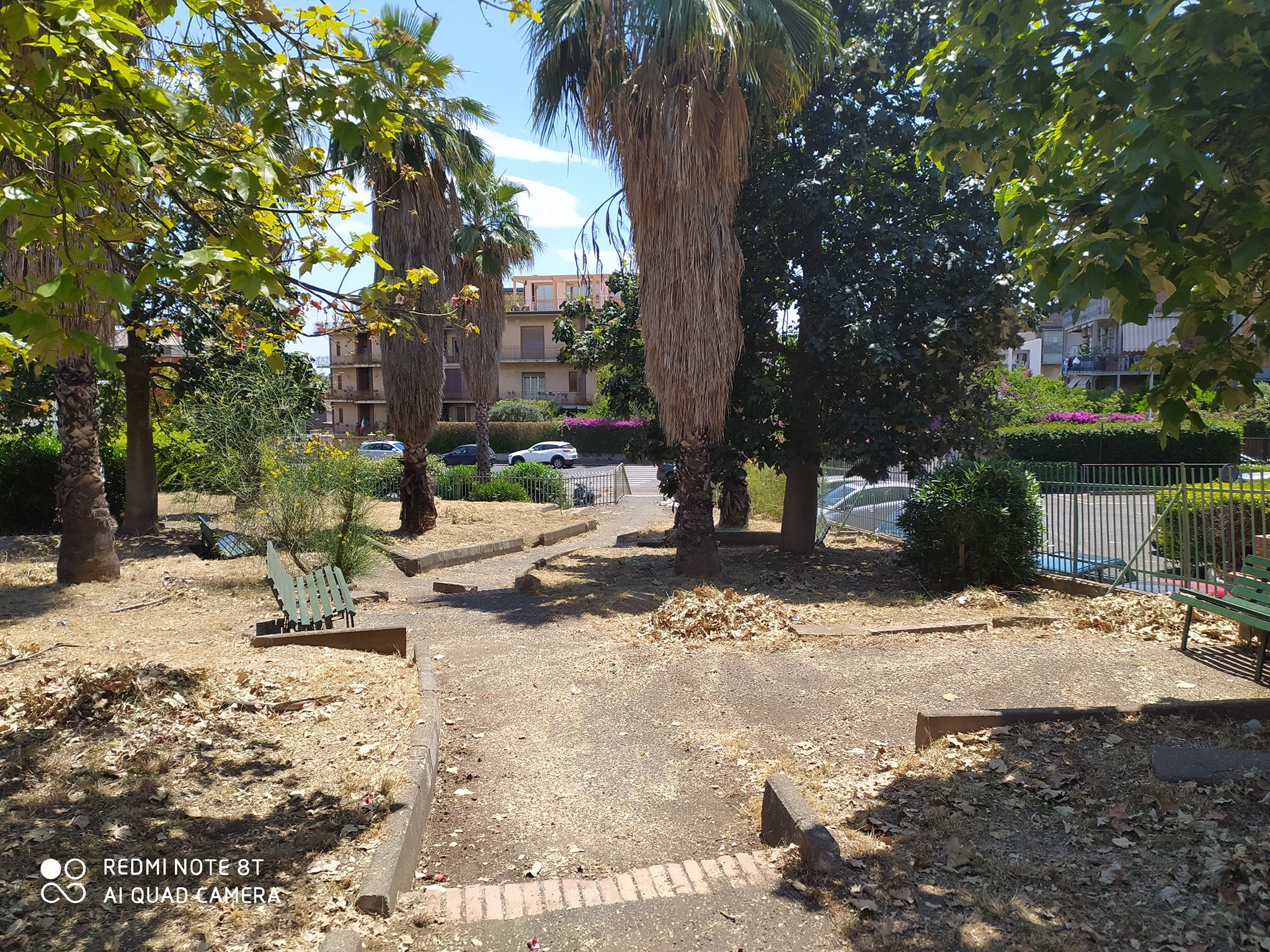 Catania, avviati i lavori di scerbamento e riqualificazione del parco di via Barletta. Campisi: “Finalmente”
