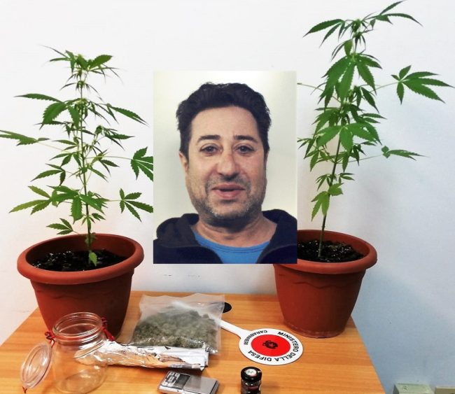 Beccato con marijuana nel Catanese, in casa piante di cannabis indica: pusher 54enne in manette