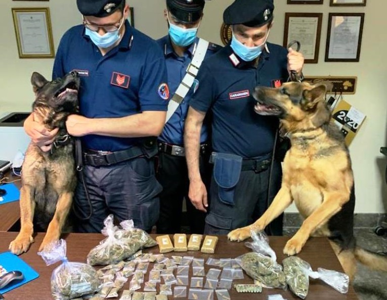 Droga vicino alla “Vucciria”, fondamentale il fiuto di Ron e Mike: in carcere pusher 41enne